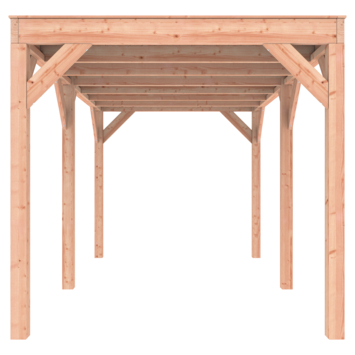 Overkapping Douglas 445x255cm