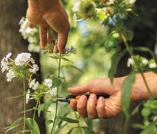 Fiskars Gartenschere Micro-Tip SP13
