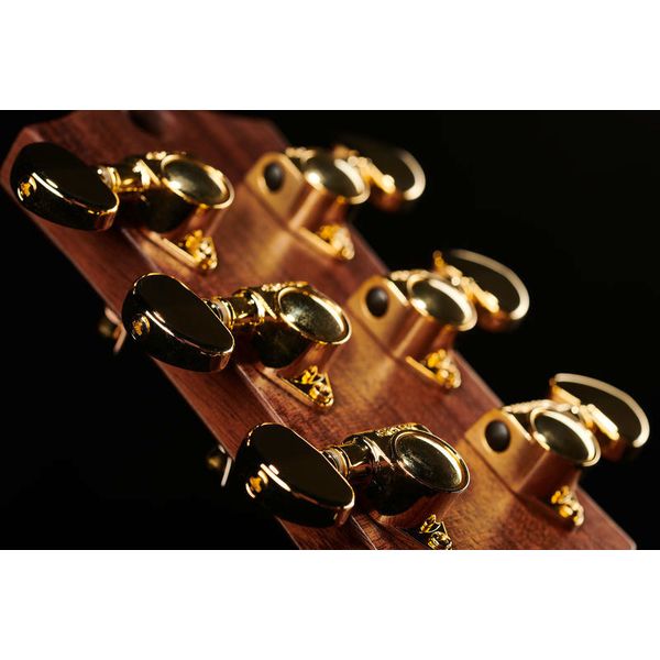 Maton The Australien EA-808