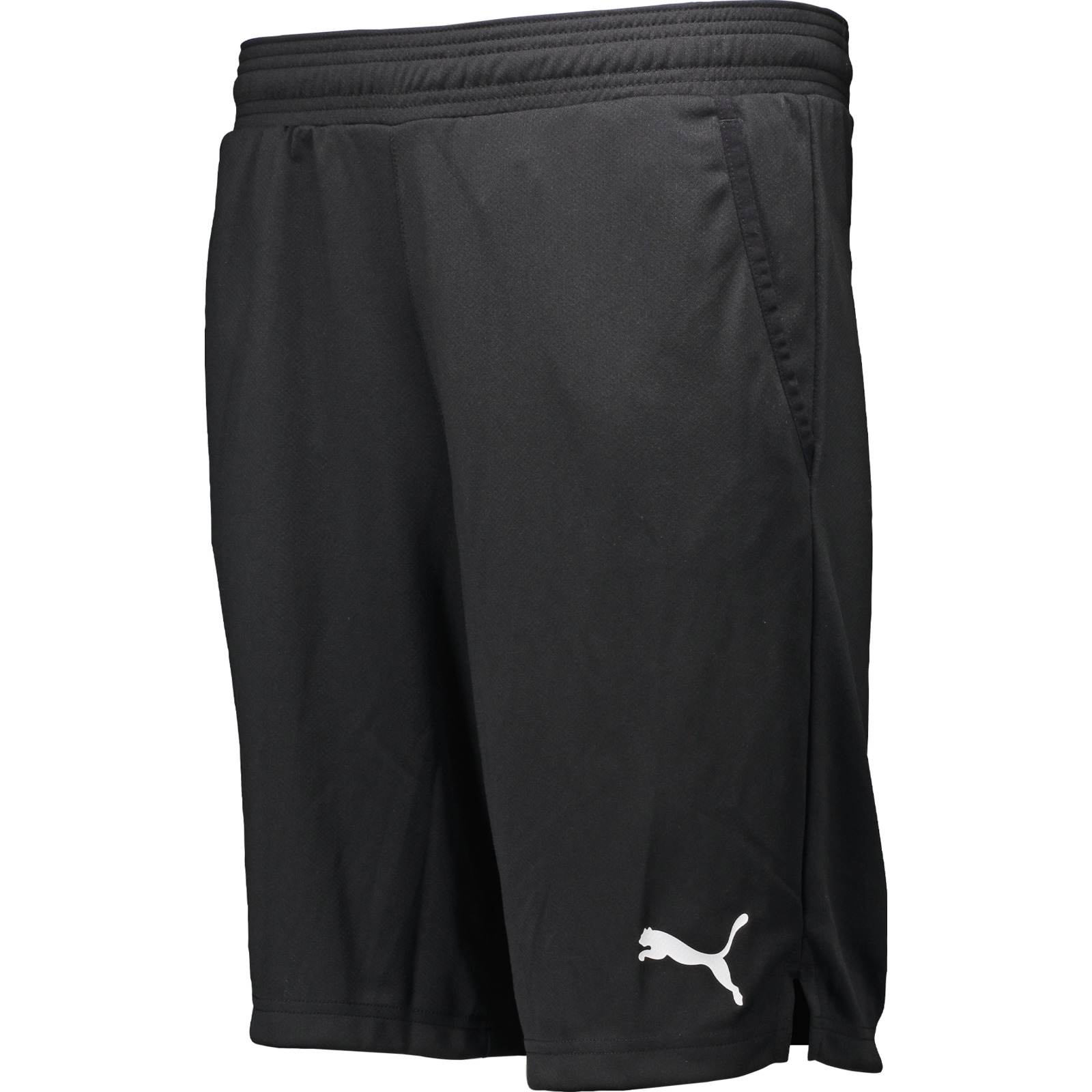 Puma RTG interl. Shorts Hr, schwarz, XXL
