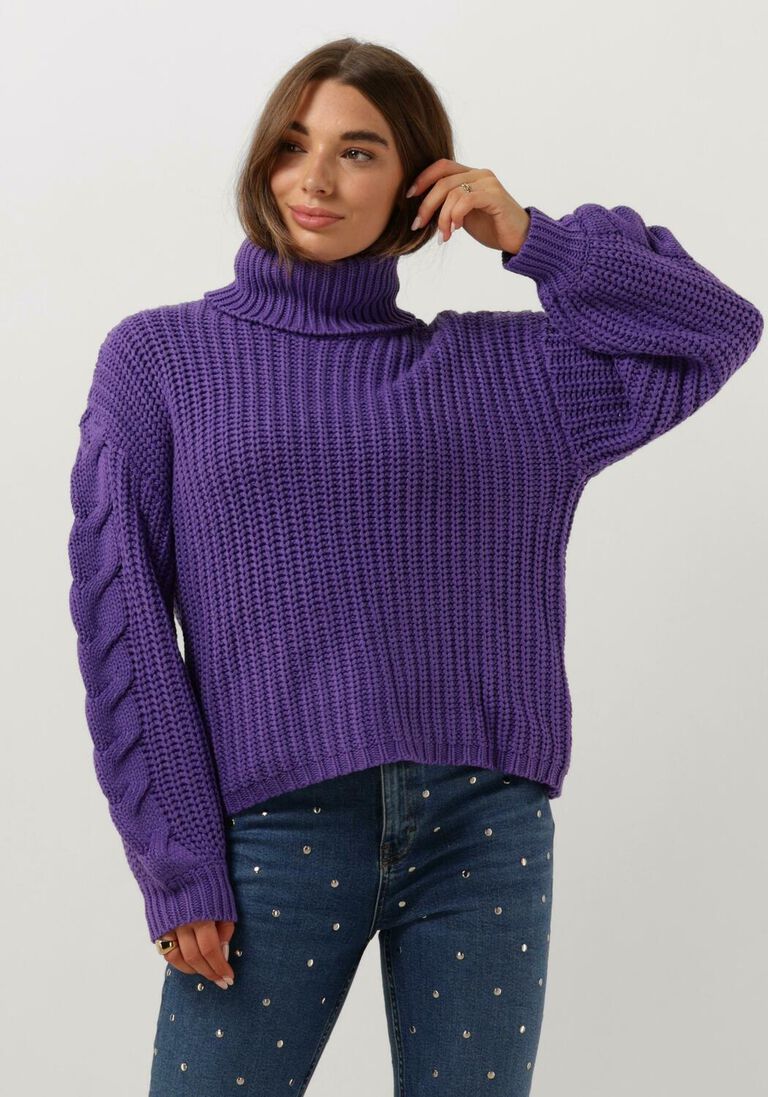 Y.A.S. paarse y.a.s. coltrui yassanne ls knit rollneck pullover