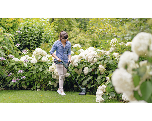 BOSCH EasyGrassCut 18V-26 Accu Grastrimmer (zonder accu en lader)