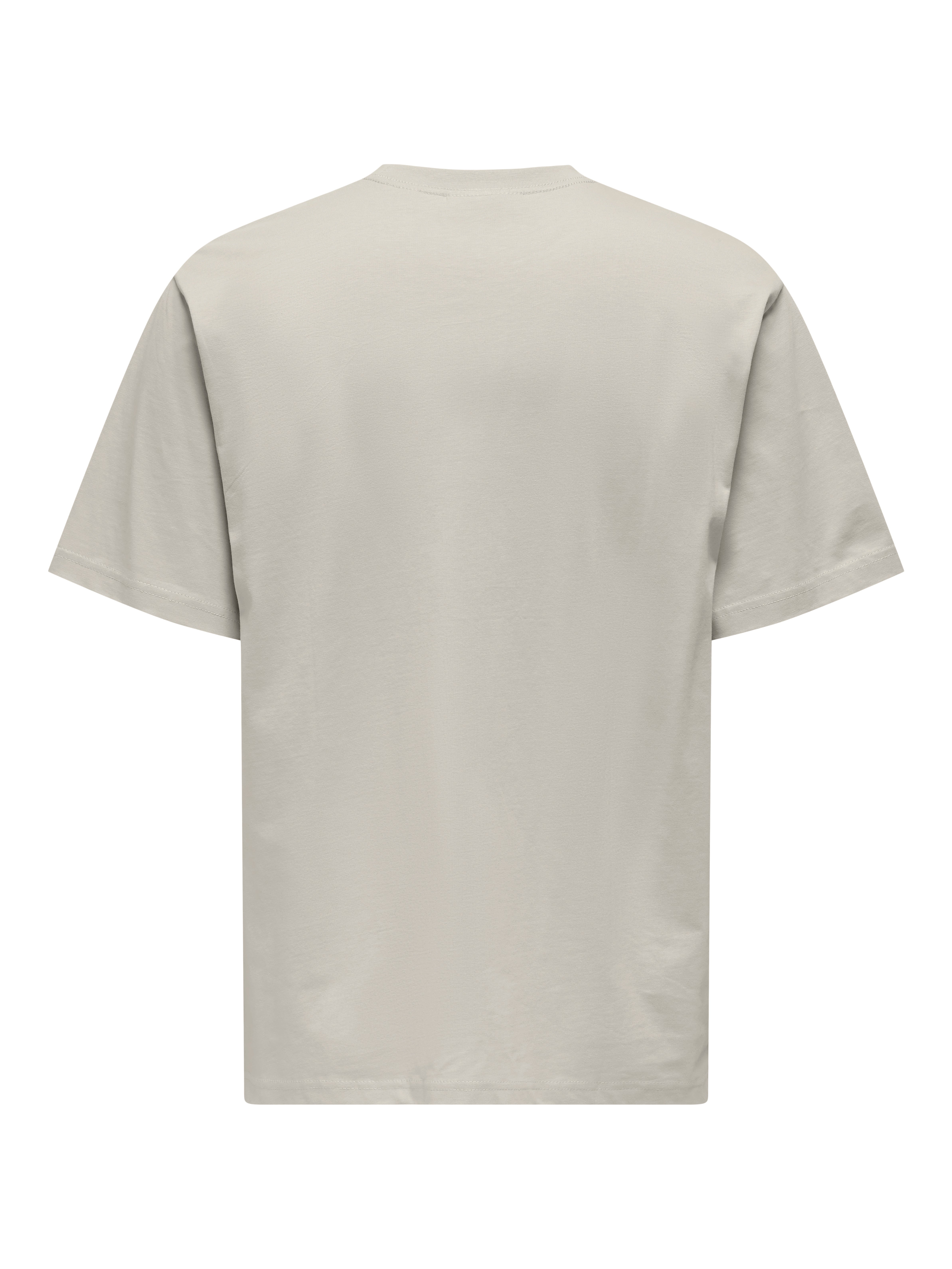 ONSCURATED T-shirt Silver Lining