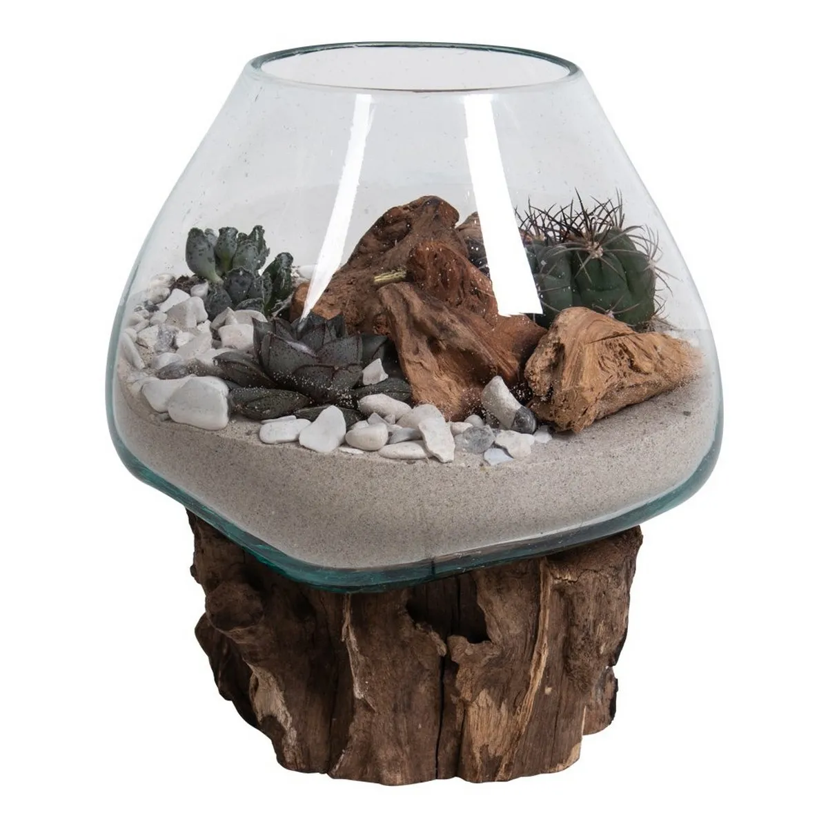 Epikasa Terrarium San Marron