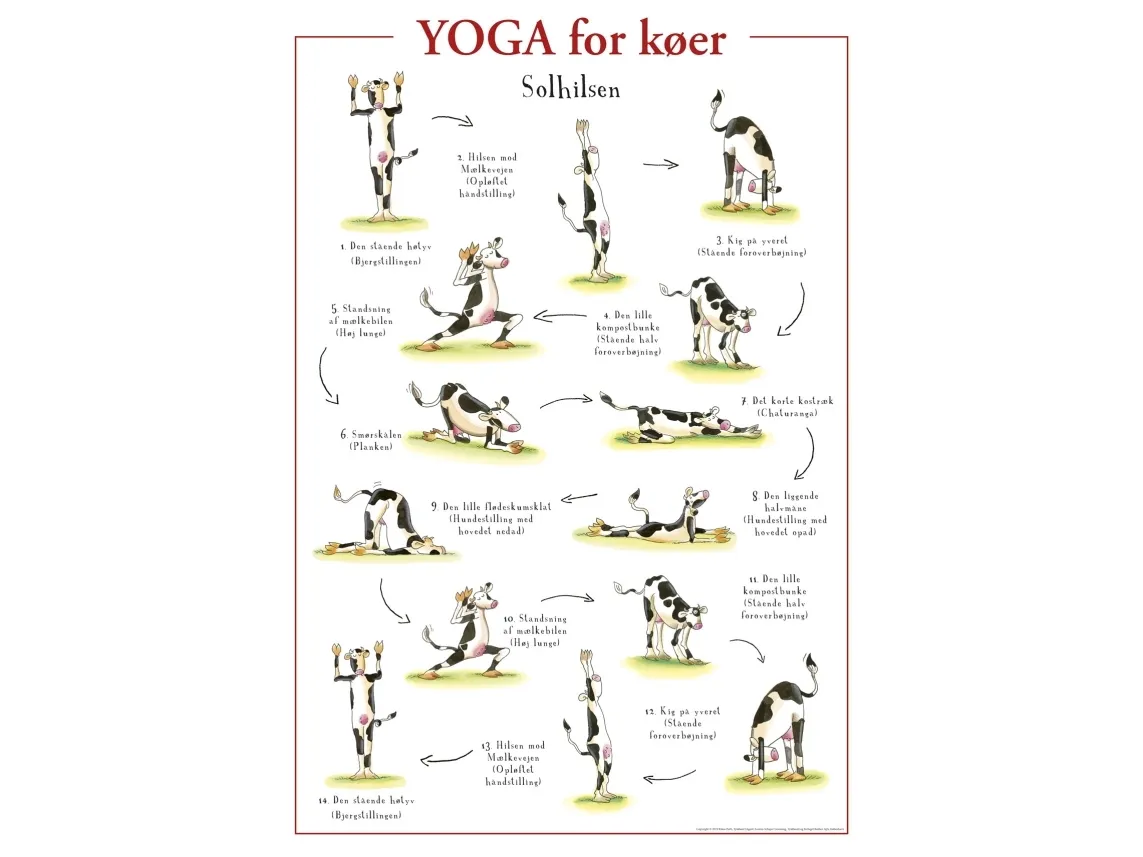 Yoga for køer PLAKAT