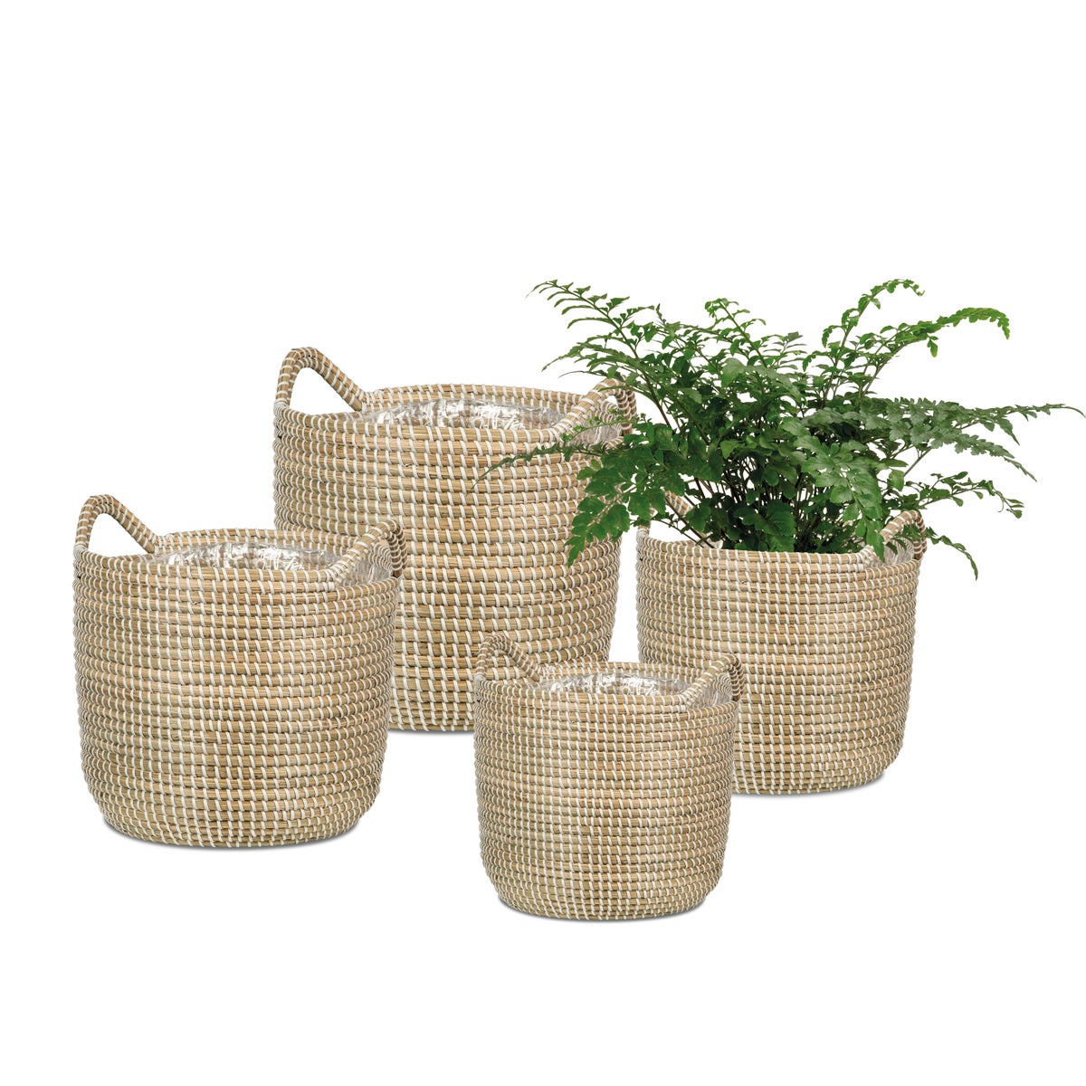 Scheurich Seagrass 32, plantenbak/mandpot met handgrepen van zeegras, kleur: wit, diameter 32 cm, hoogte 30,5 cm, inhoud 26,9 l.