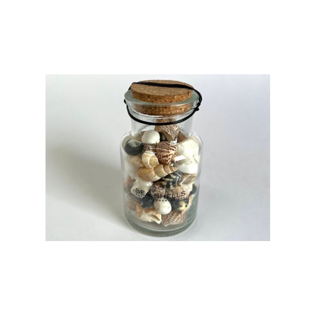 Muschelmix in Glasflasche, H 10 cm, Ø 6 cm von fischer's lagerhaus