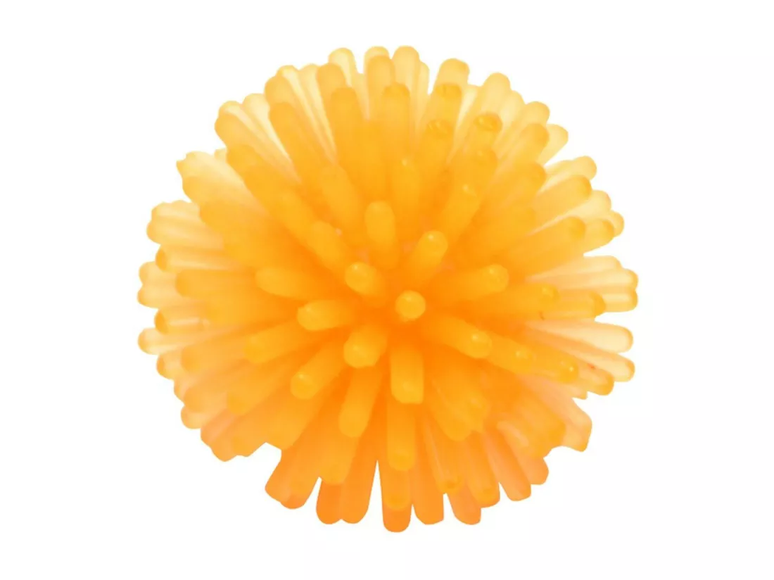 Lot de 4 Jouets pour Chien 