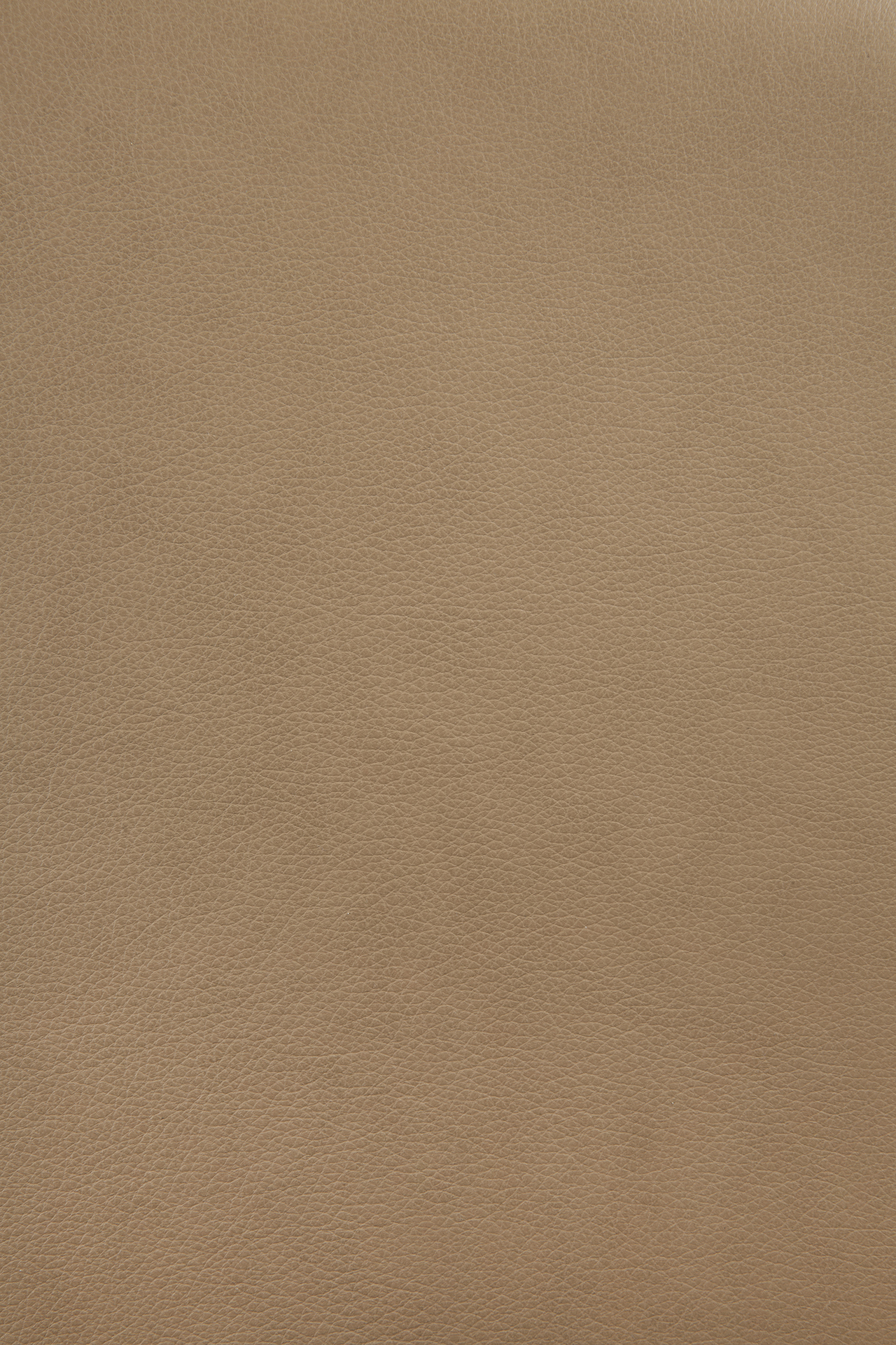 Eye loungestoel sienna leer