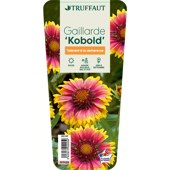 Gaillarde Kobold : godet vert