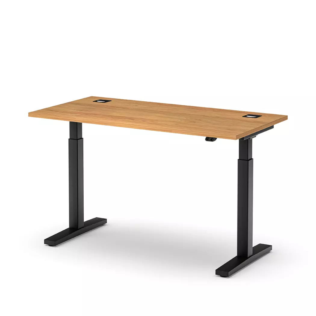 Schreibtisch elektrisch eUP2