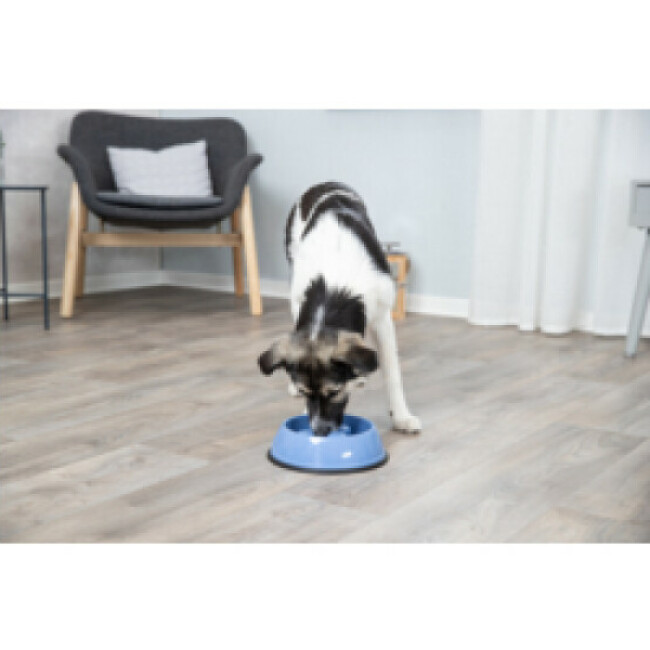 Ecuelle en plastique Slow Feed Trixie