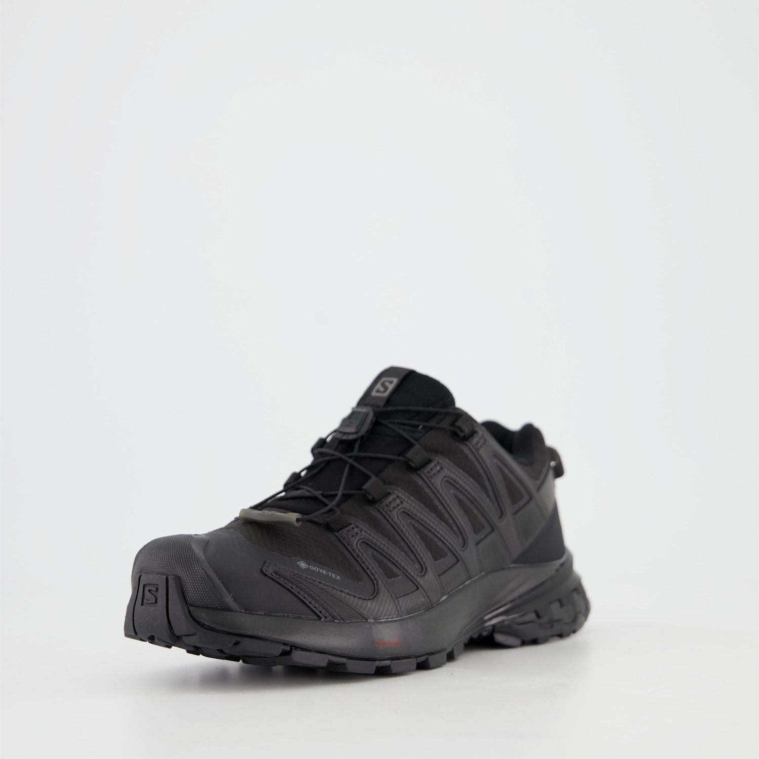 Salomon XA PRO 3D v8 GTX W
