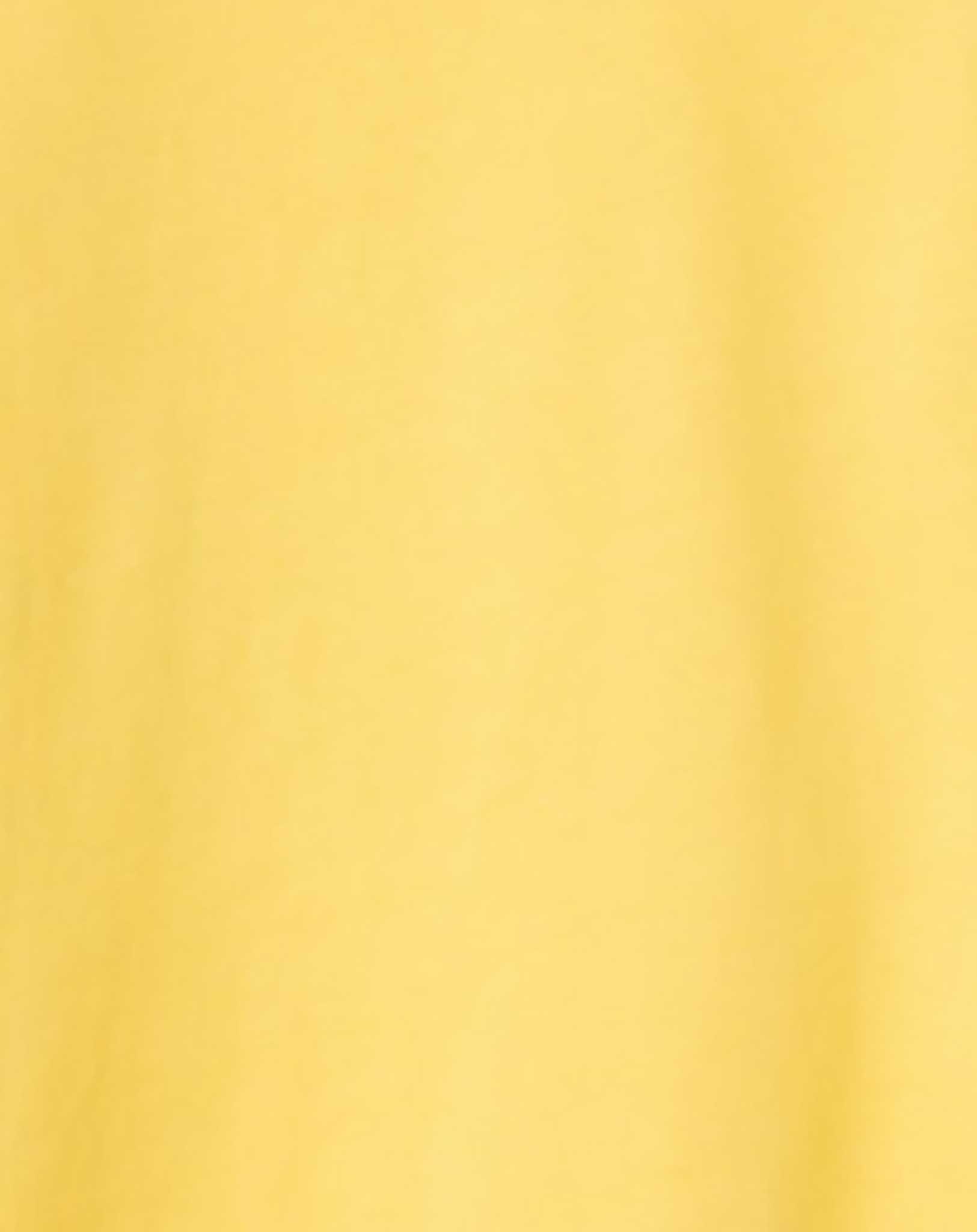 Langarmshirt NMFVIOLET SCHMETTERLINGE in yarrow