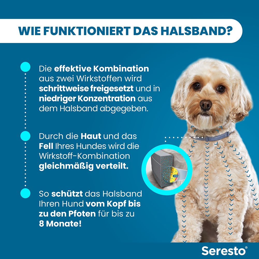 Seresto® Halsband für kleine Hunde bis 8 kg