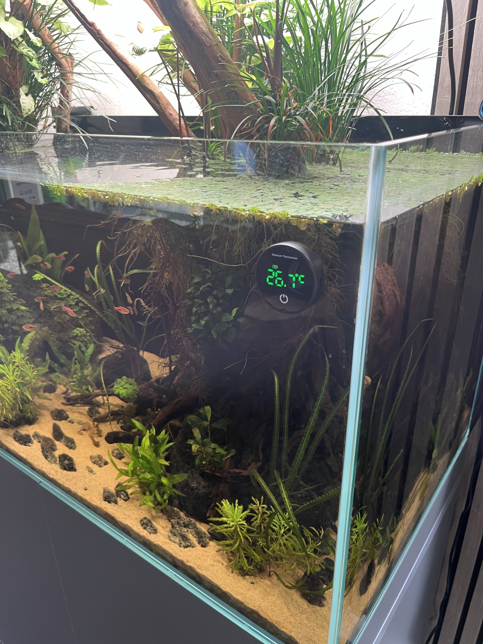 Aquarium Thermometer Oplaadbaar