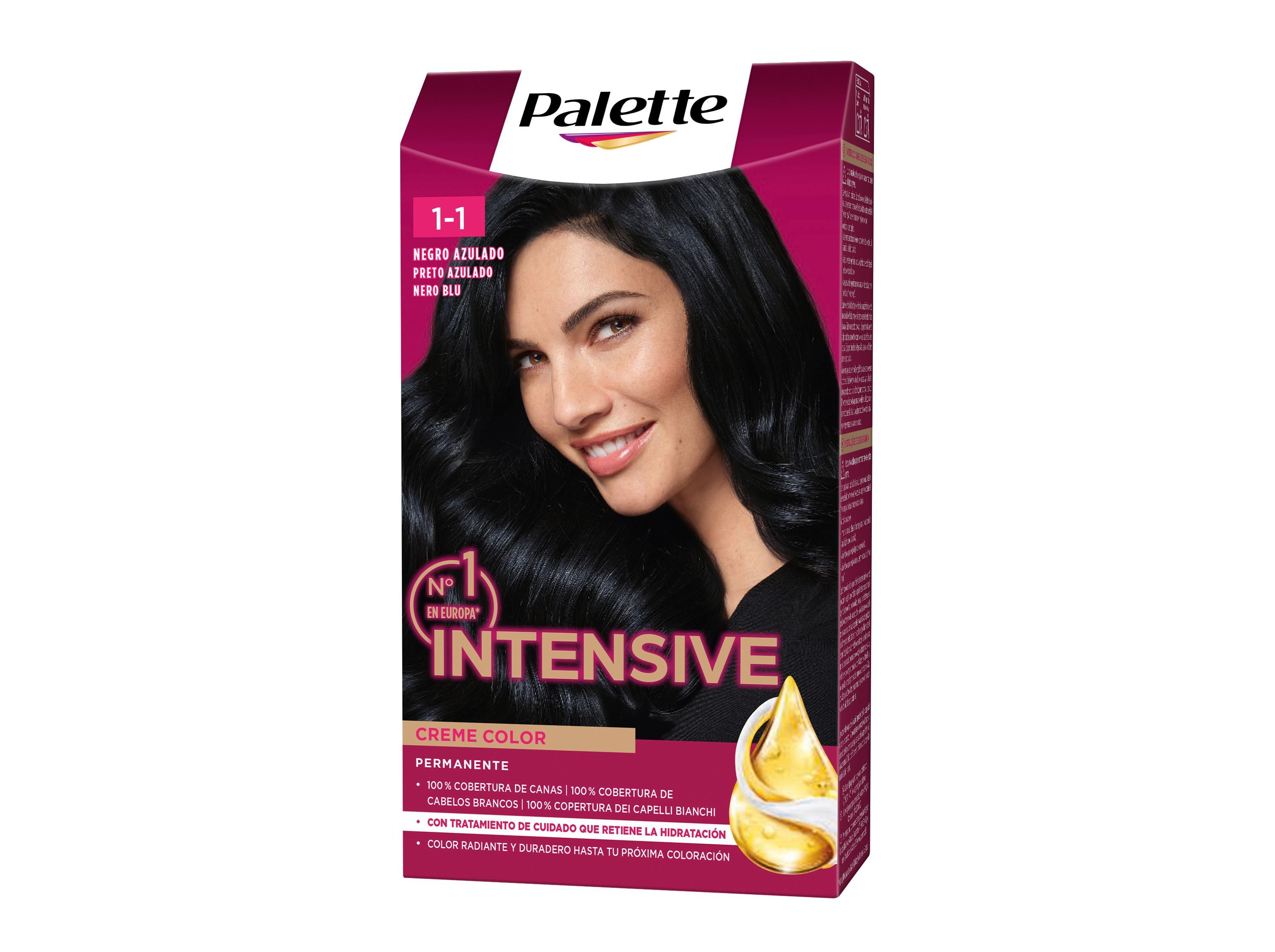 COLORAÇÃO PALETTE 1.1 PRETO AZULADO