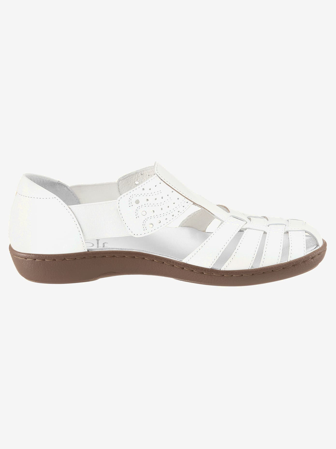 Trotteurs largeur g*