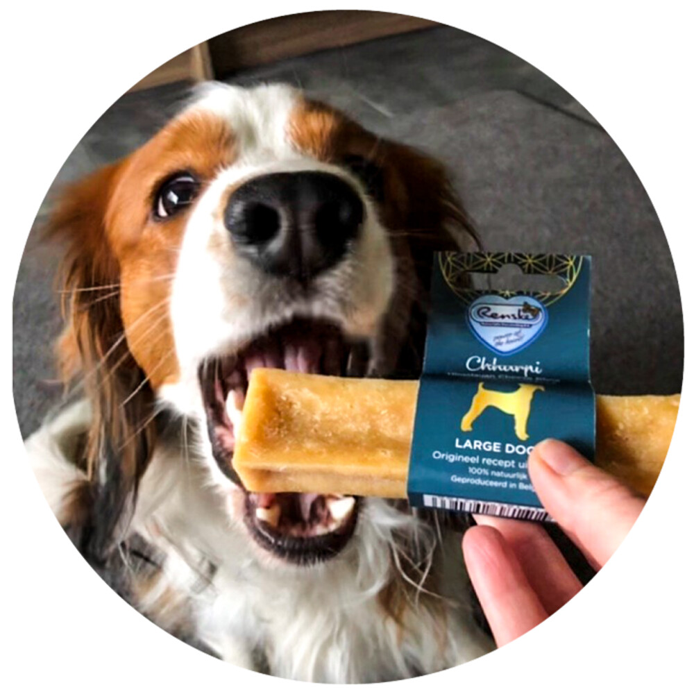 Renske Kauwkluif Chhurpi Himalayan XS27 gr