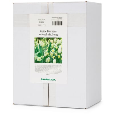 Blumenzwiebeln Weiße Blumenzwiebelmischung