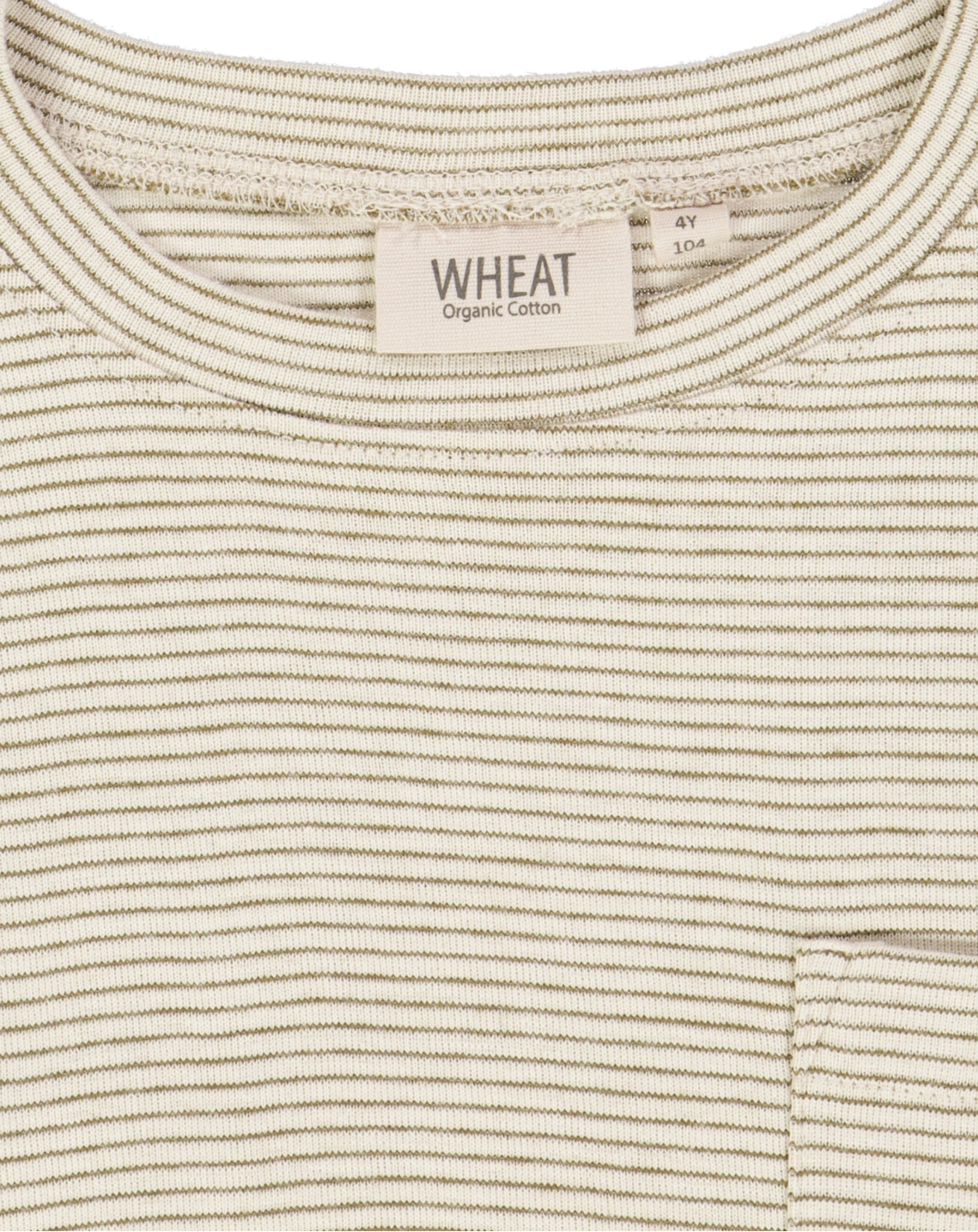 T-Shirt TOMMY STRIPE in seaweed