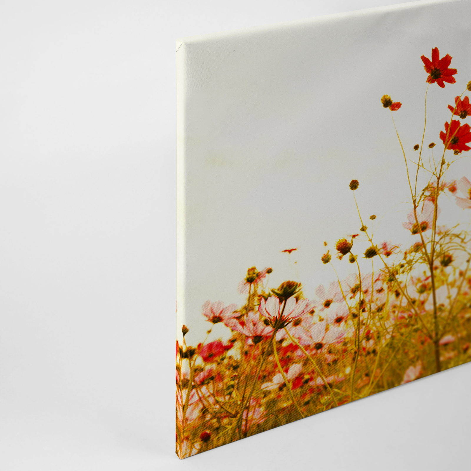 Leinwandbild BLUMENWIESE - rot-grün-gelb - 90x60 cm