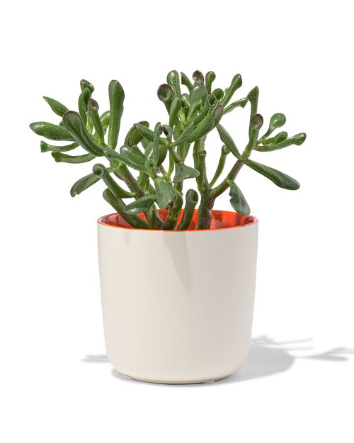 cache-pot faïence Ø12x13 blanc-corail