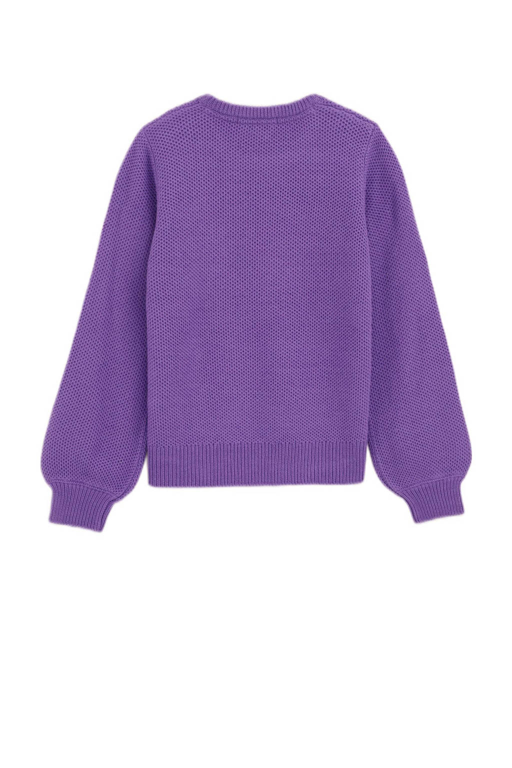 WE Fashion gebreide trui paars