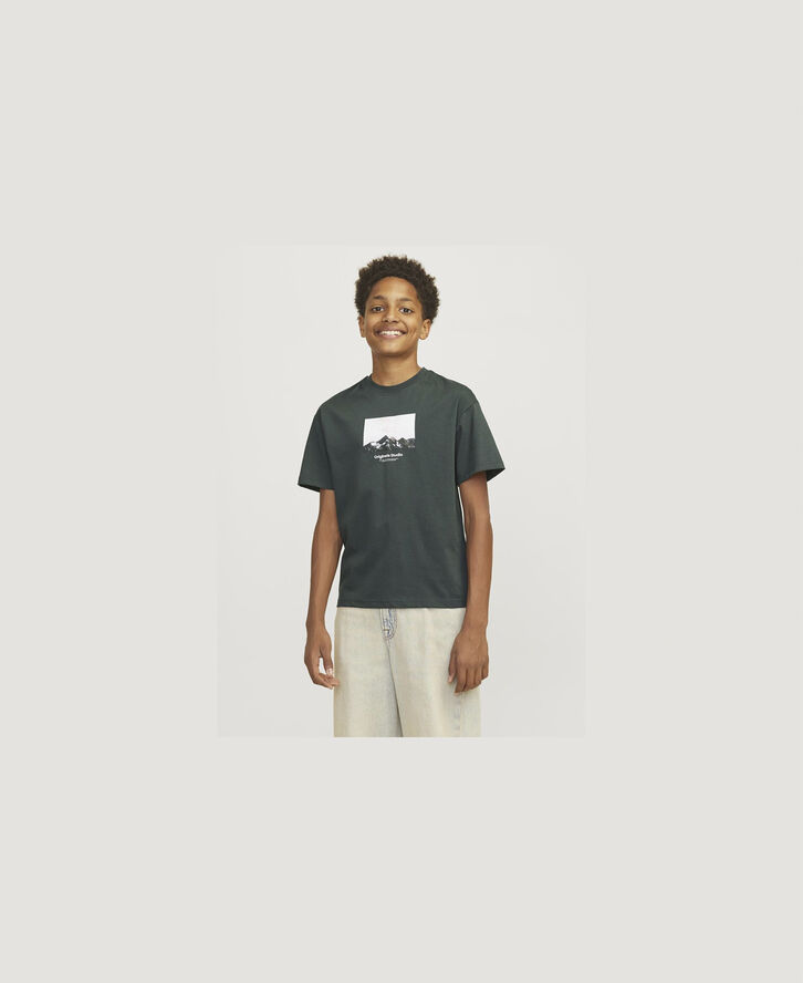 Jack & Jones JORVESTERBRO PICTURE TEE SS CREW JN Forest river/aw24