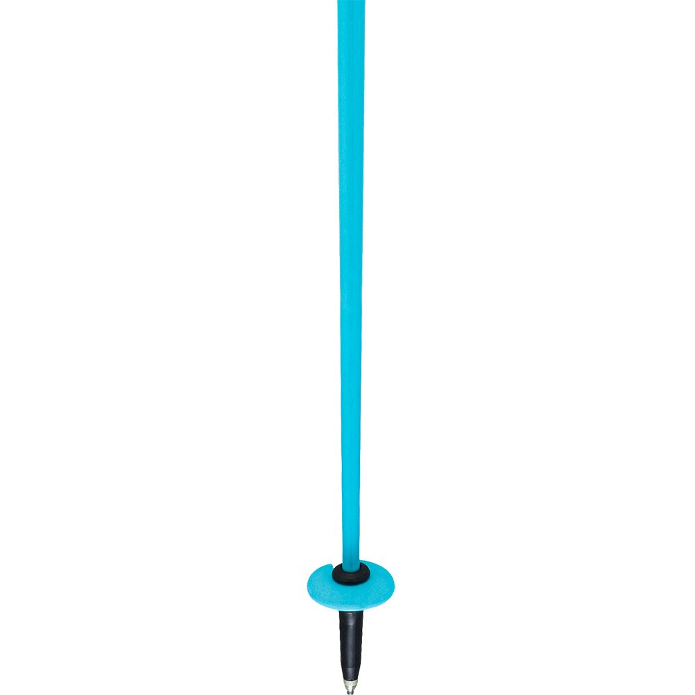 Head Worldcup SL Alpin Skistöcke speed blue