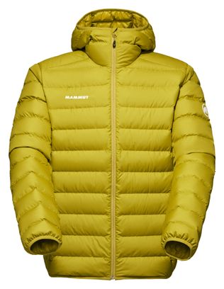 Doudoune Duvet Mammut Waymarker IN Hooded Vert