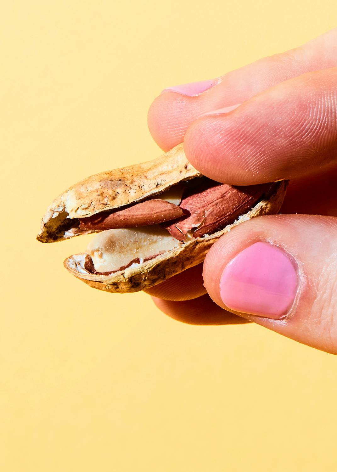 Bio Erdnüsse mit Schale 1 kg