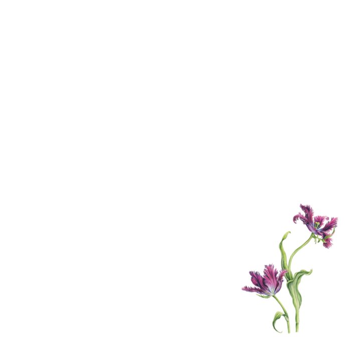 Janneke Brinkman | Beterschapskaart | Bloemen en vlinders