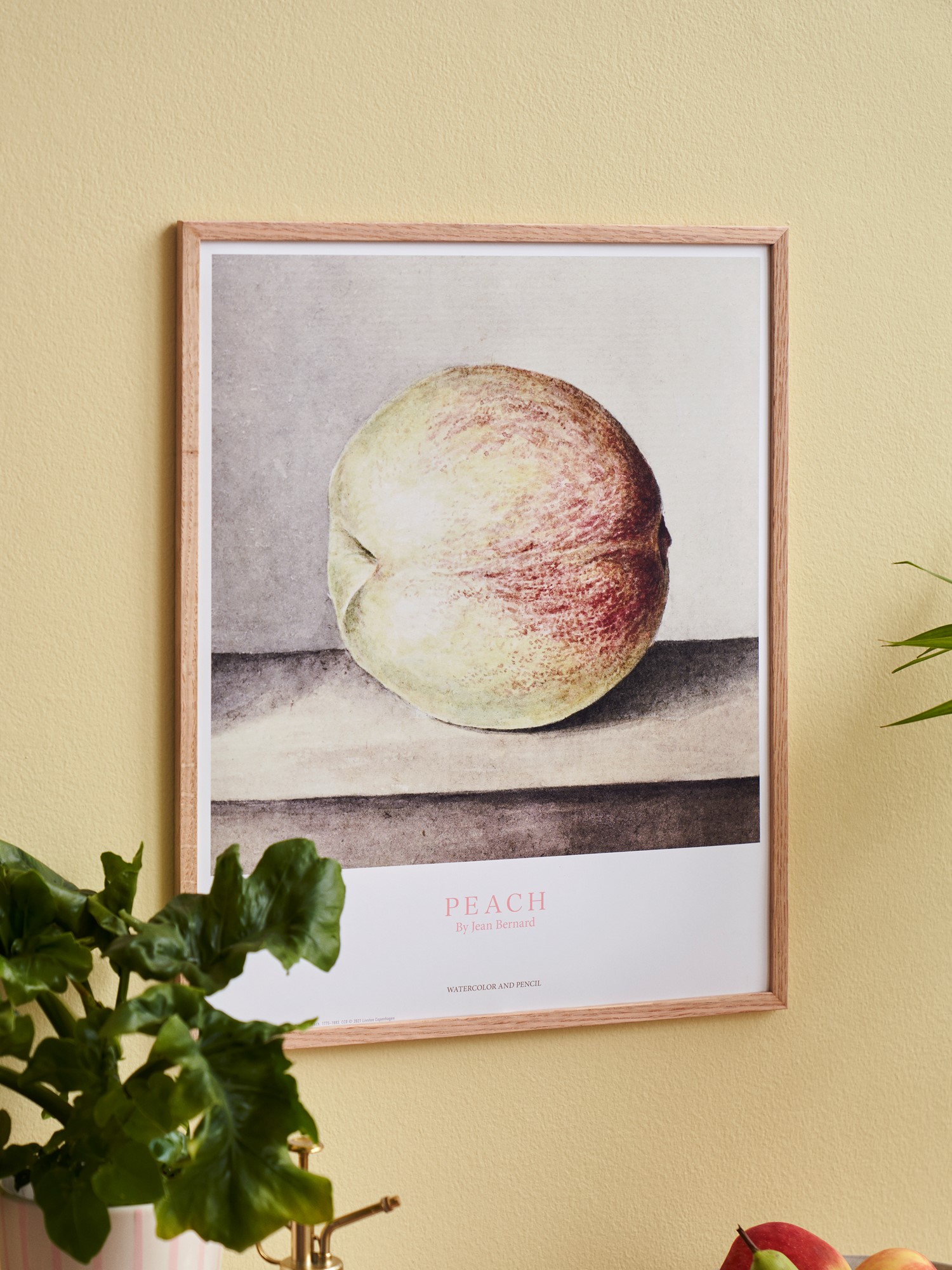 Plakat Fersken 40 x 50 | Papir. 40 x 50 cm. | Multi | Permild & Rosengreen