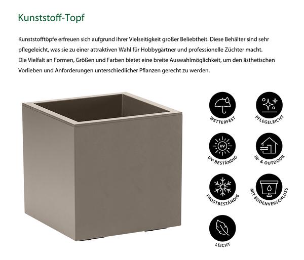 Dehner Kunststoff-Topf Kebe, quadratisch, ca.