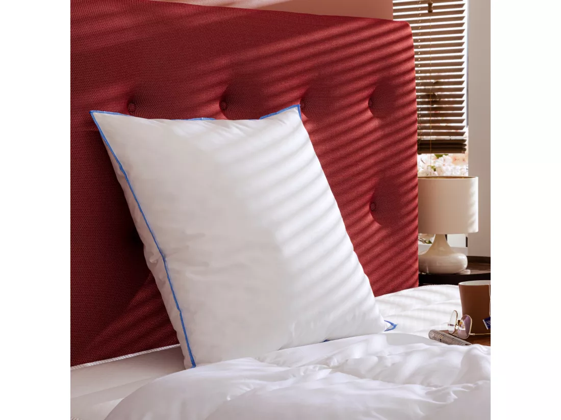 Lot de 2 oreillers moelleux duvet de canard anti-allergènes Someo 60x60
