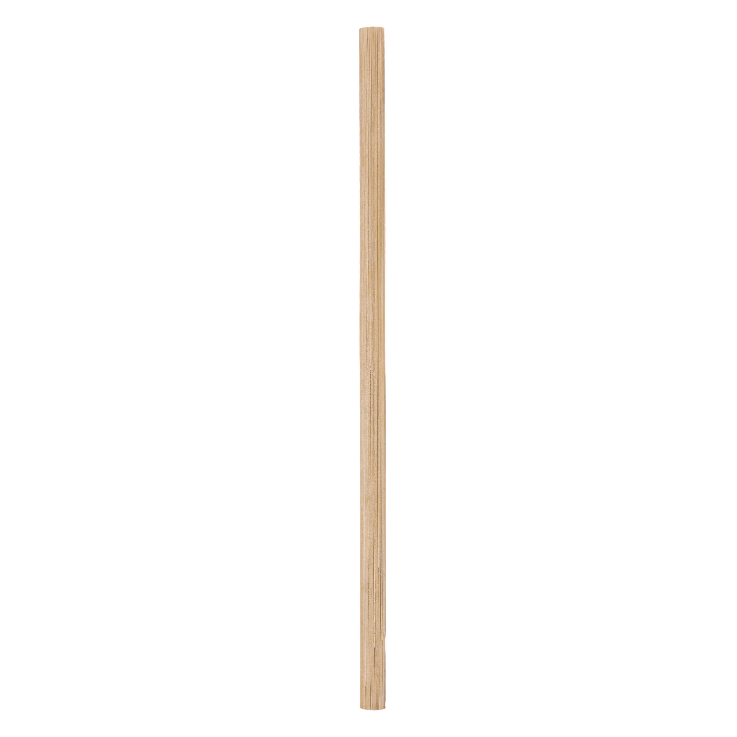 CHOPE BAMBOU PALM 40CL