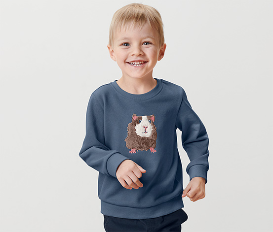 Kleinkind-Sweatshirt