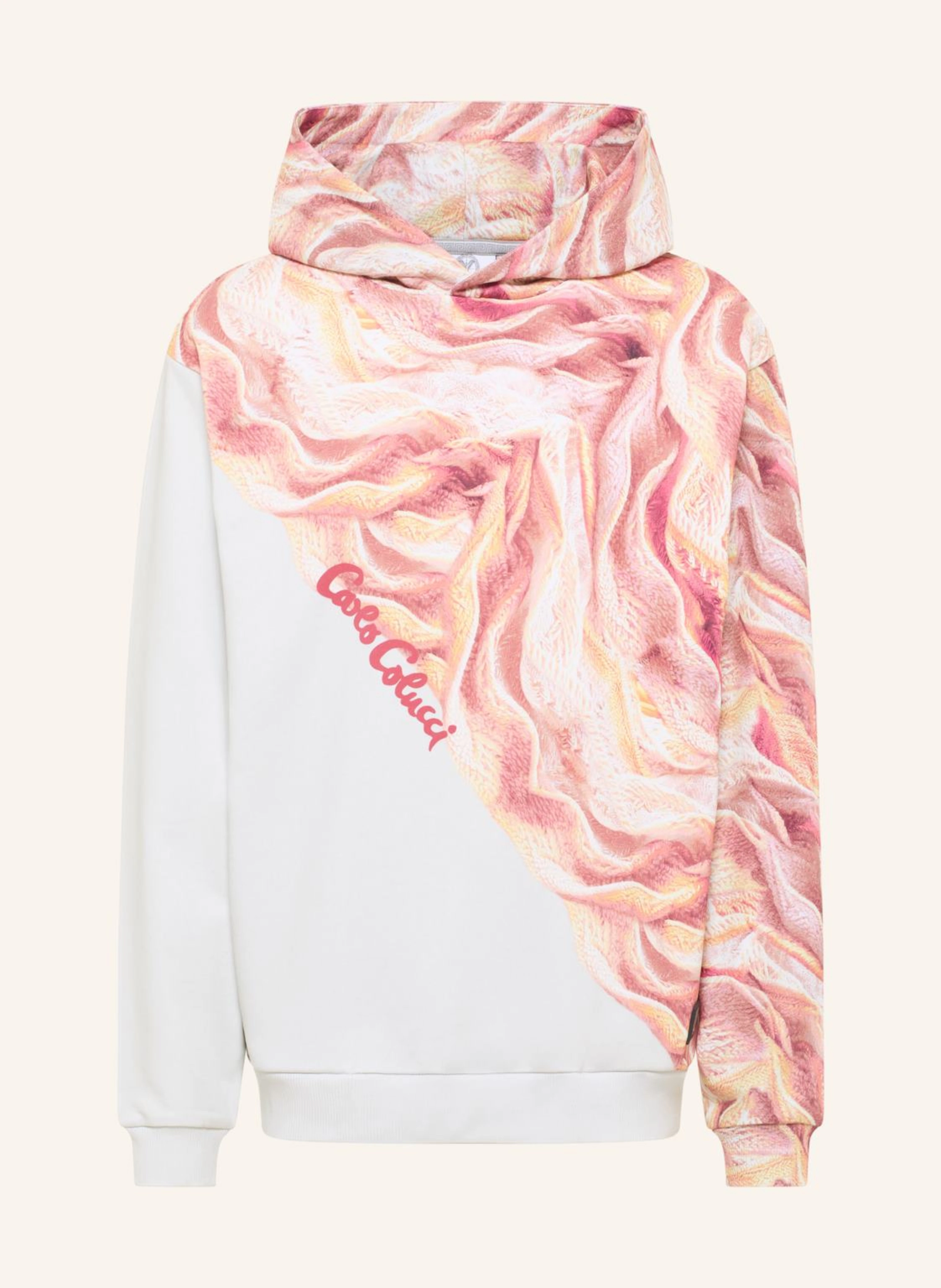 CARLO COLUCCI Hoodie - Artificial Knit DRAICCHIO