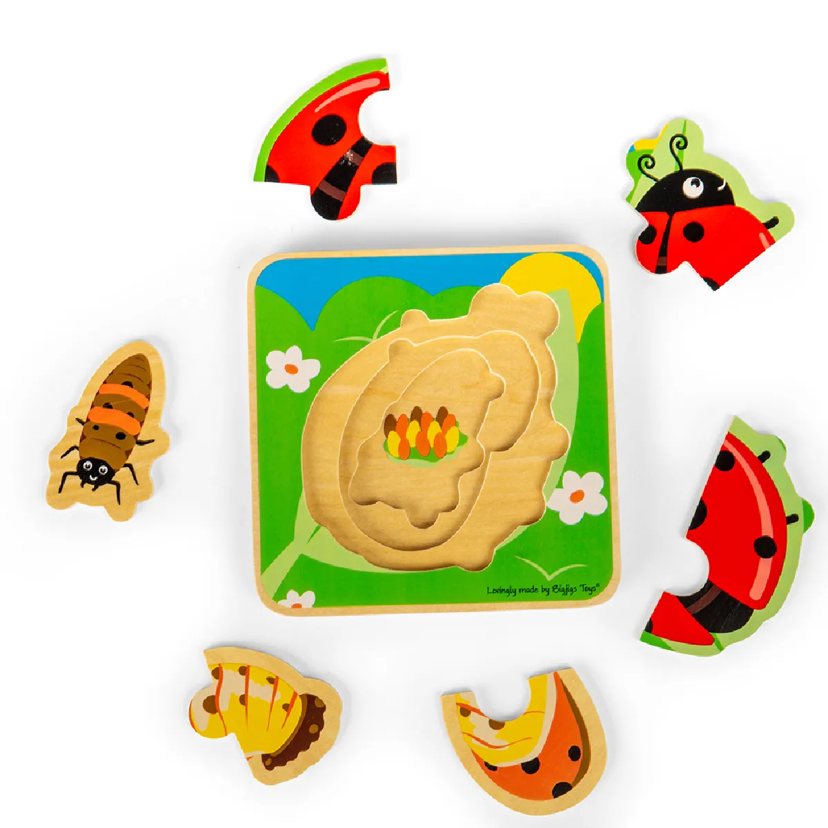 Bigjigs Toys Puzzle Cycle de Vie - Coccinelle