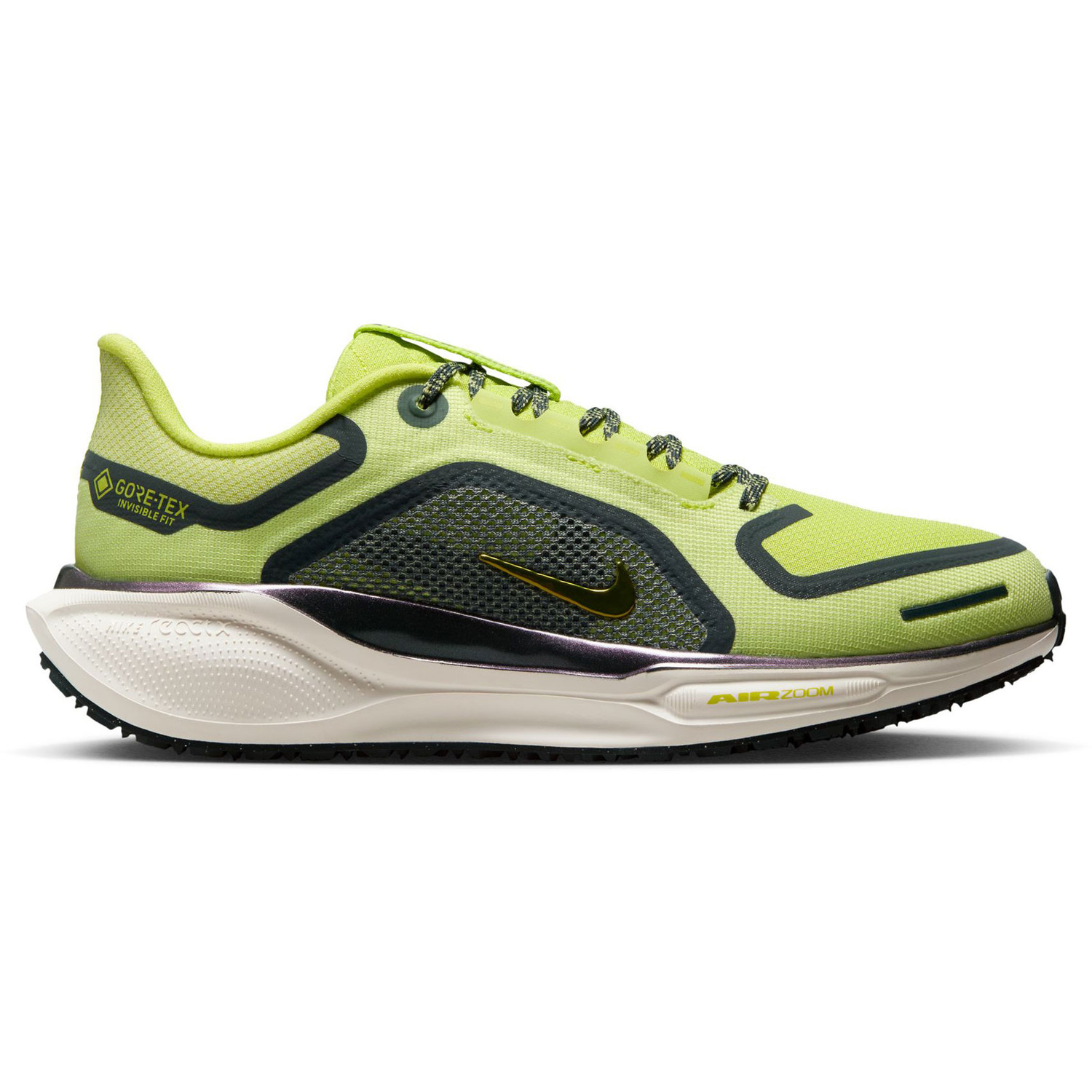 Nike Pegasus 41 GTX Dames