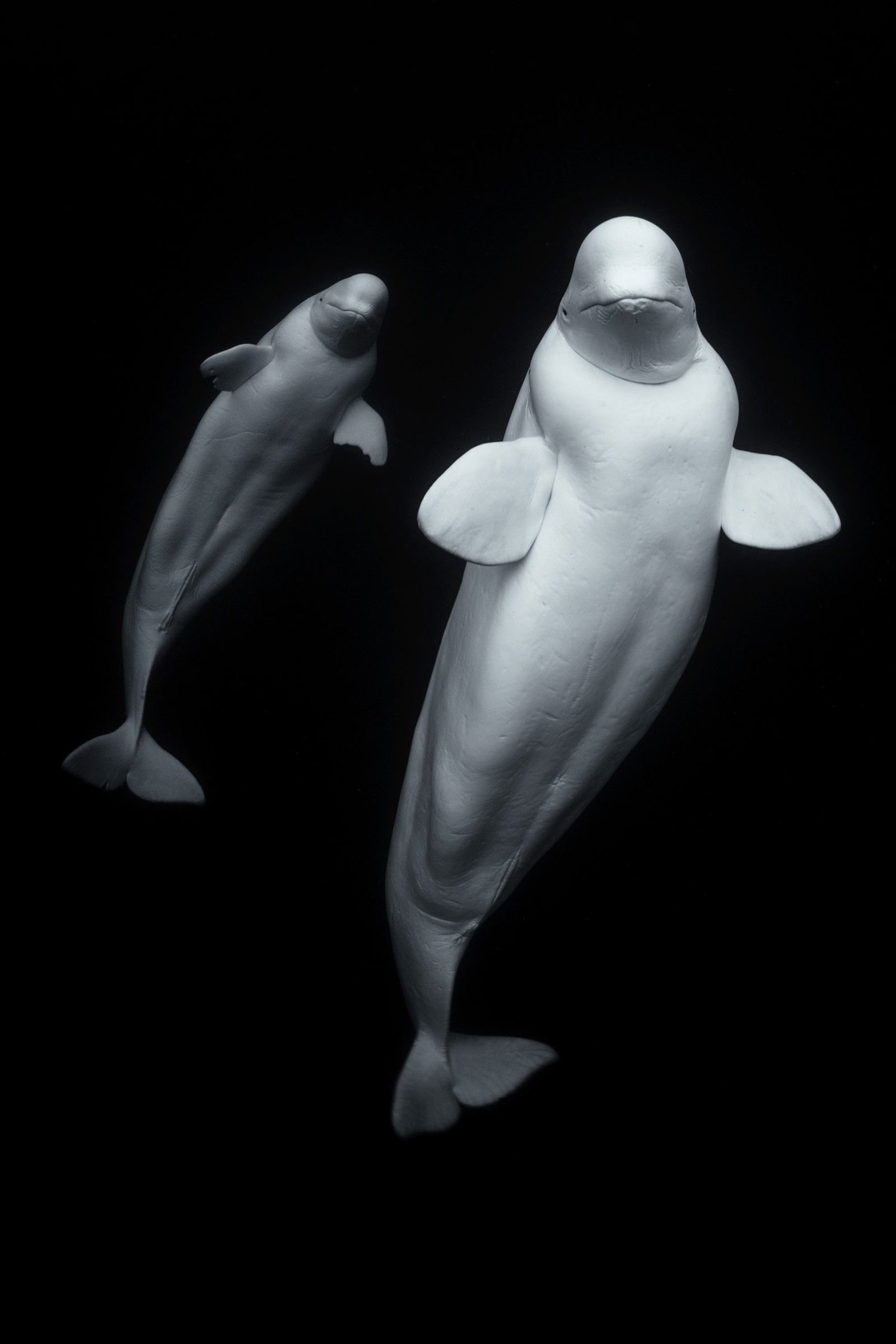 Ghosts of the Sea by George Karbus - Limited Edition. Edition of: 150. Signed.