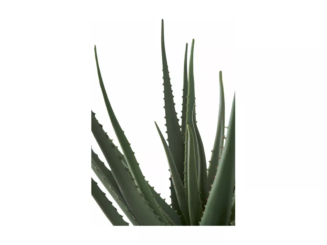 Plante artificielle Aloe Vera verte 51 cm