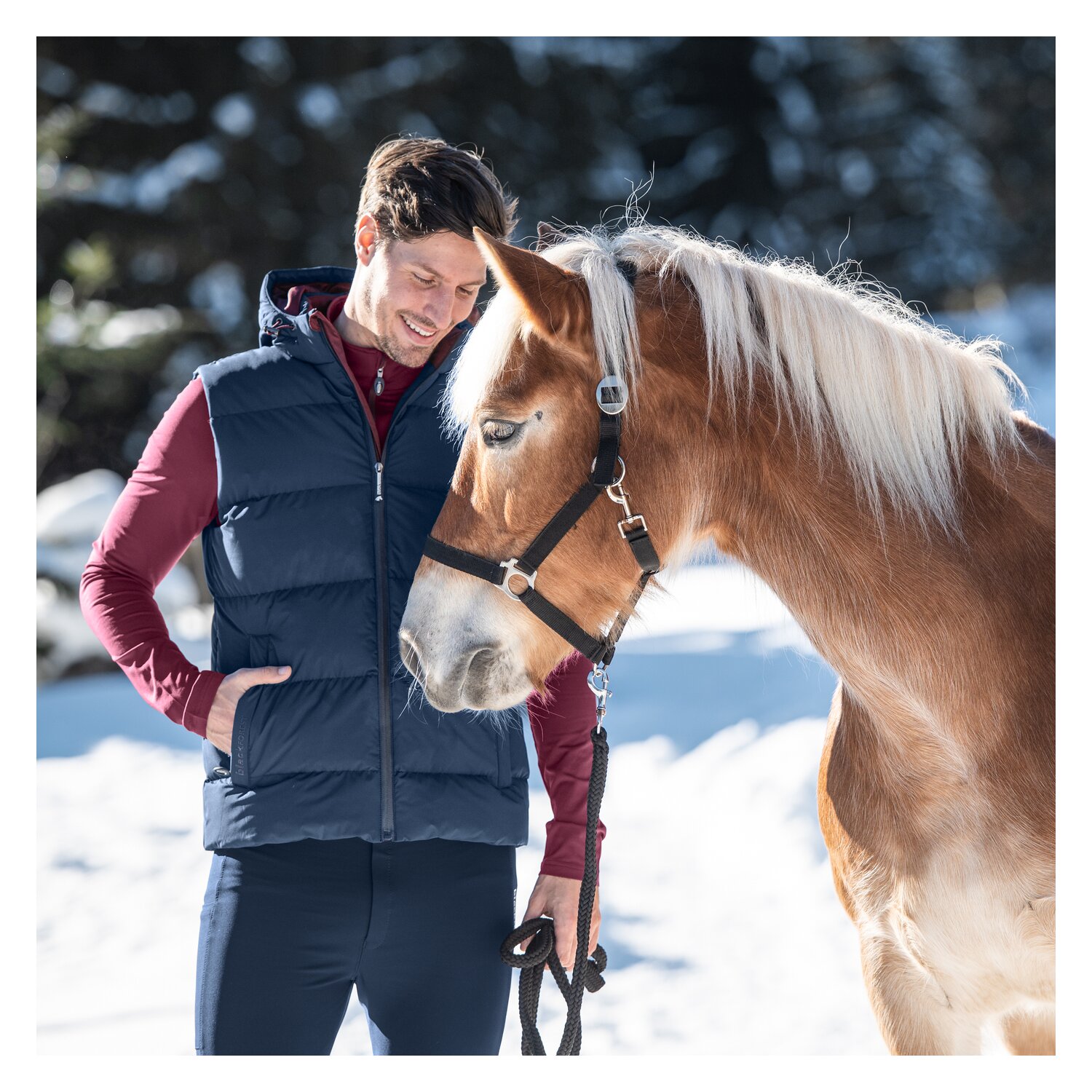 black forest Steppweste mit Kapuze  - navy - XS