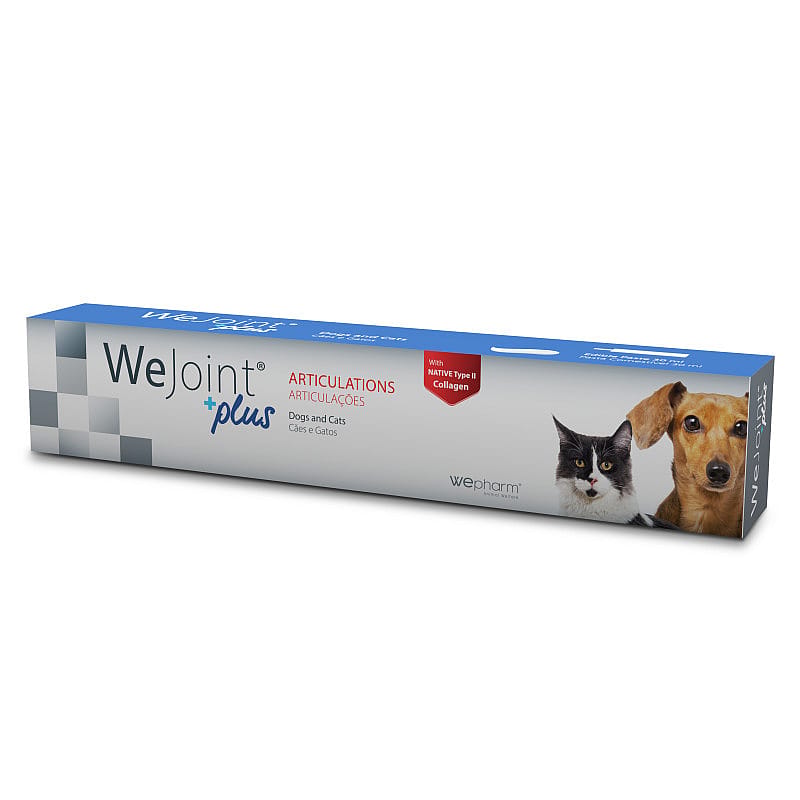Wepharm WeJoint Plus Pasta 30 ml | 15869