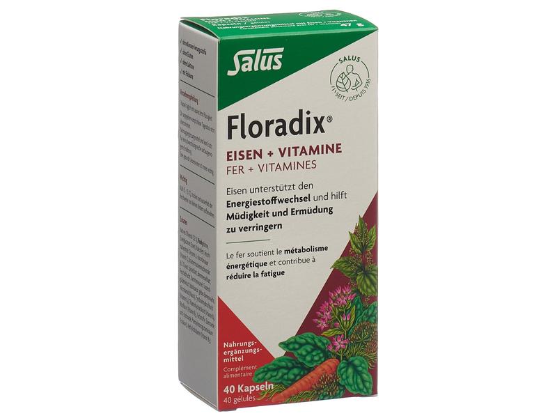 Floradix Eisen   Vitamine 40 Kapseln Nahrungsergänzungsmittel, Eisenpräparat
