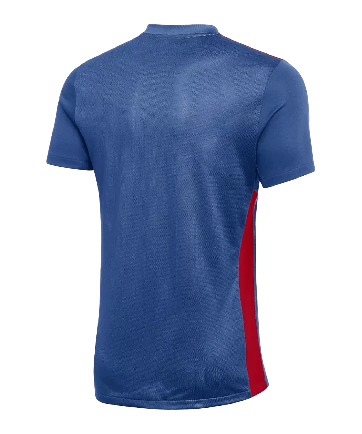 Nike Park Derby IV Trikot Blau Rot F464