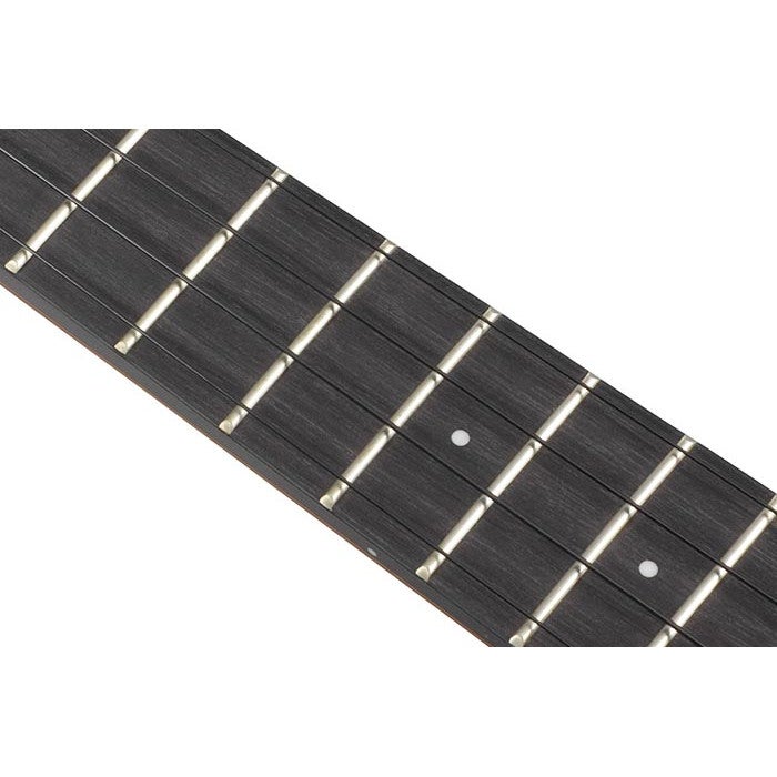 Ibanez AUT10 Open Pore Natural tenor ukelele met gigbag