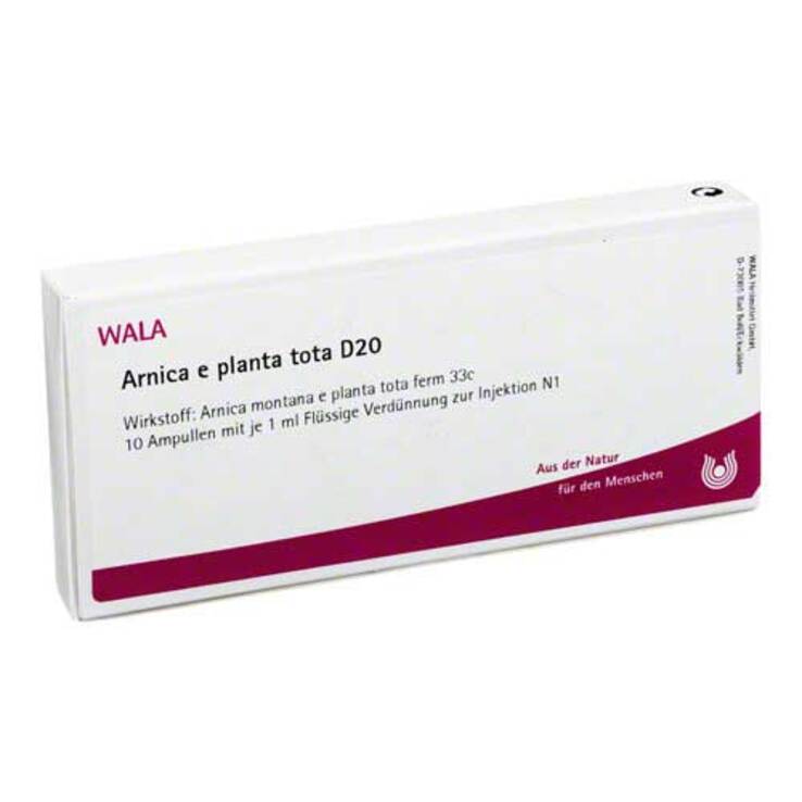 Arnica E Planta tota D 20 Ampullen, 10X1 ml