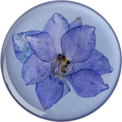 Smartphone PopSockets med standerfunktion - pres flower larkspur